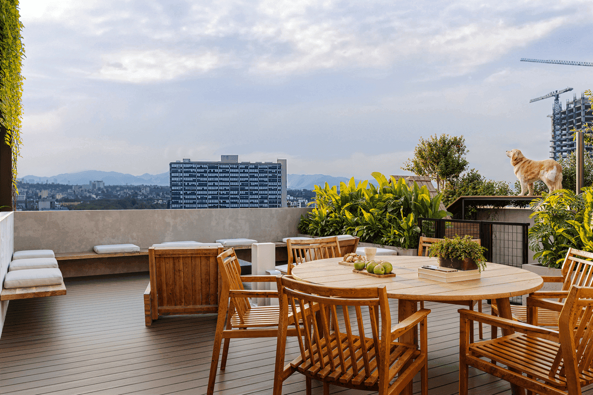 Roof Garden