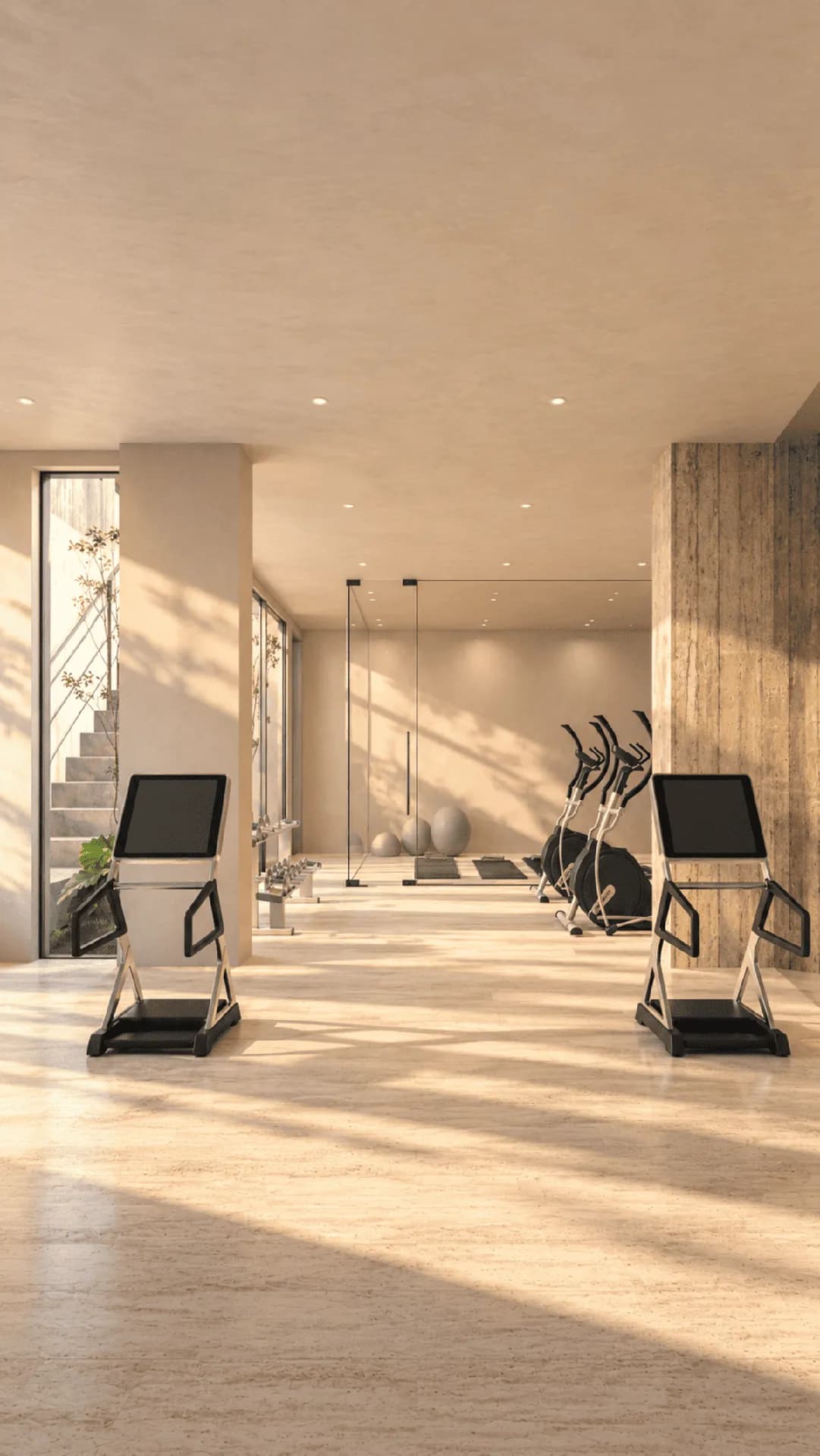 Gimnasio