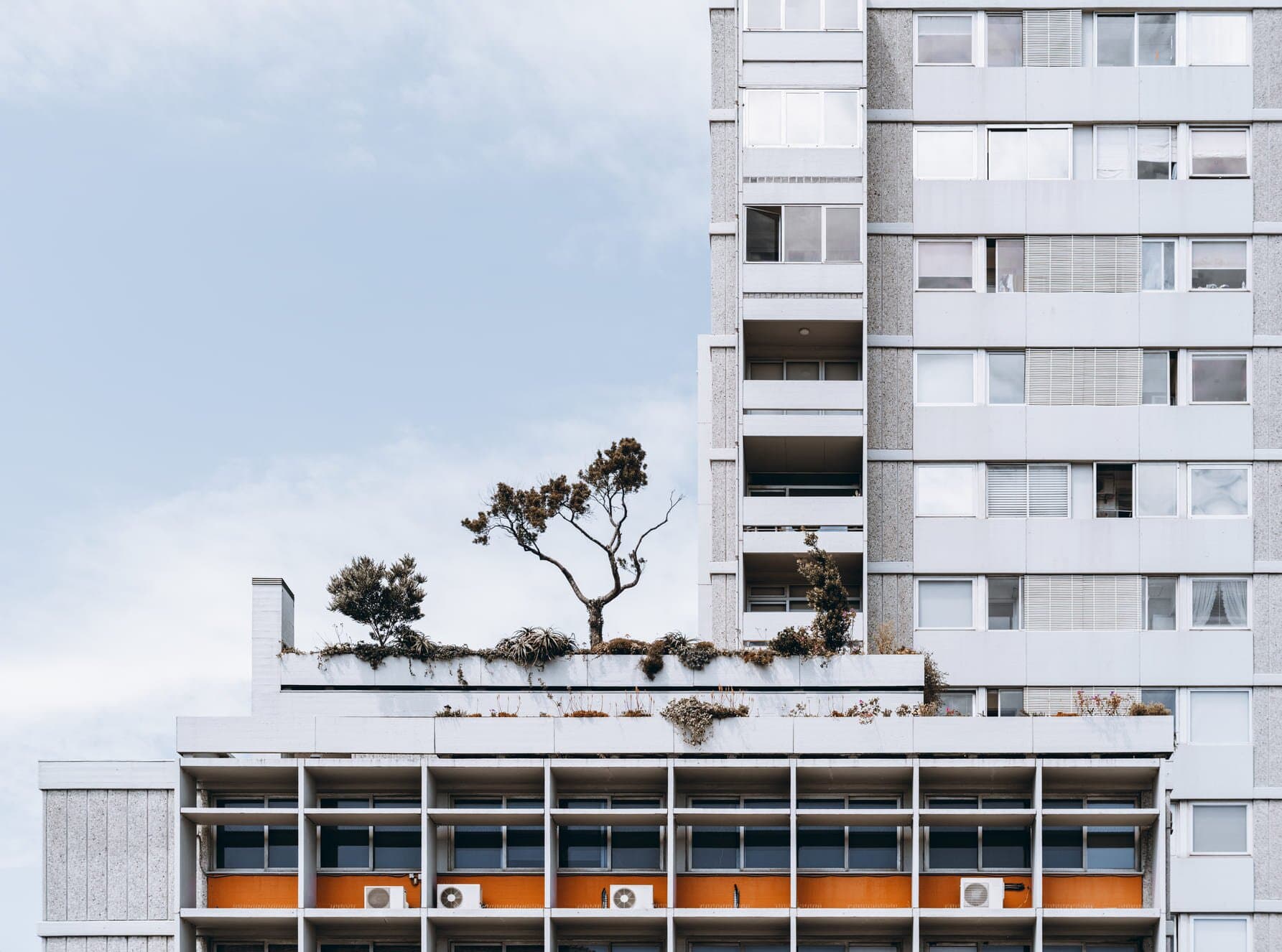 departamentos-en-venta-con-roof-garden