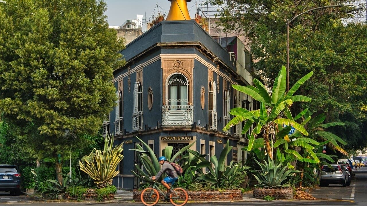 que-hacer-en-la-condesa